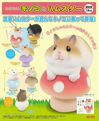 奇譚俱樂部 「蘑菇＆倉鼠」逗趣夥伴登場！いろいろキノコとハムスター