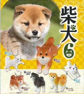 EPOCH又來療癒你的《柴犬》轉蛋最新作「第六彈」暖暖登場！柴犬6