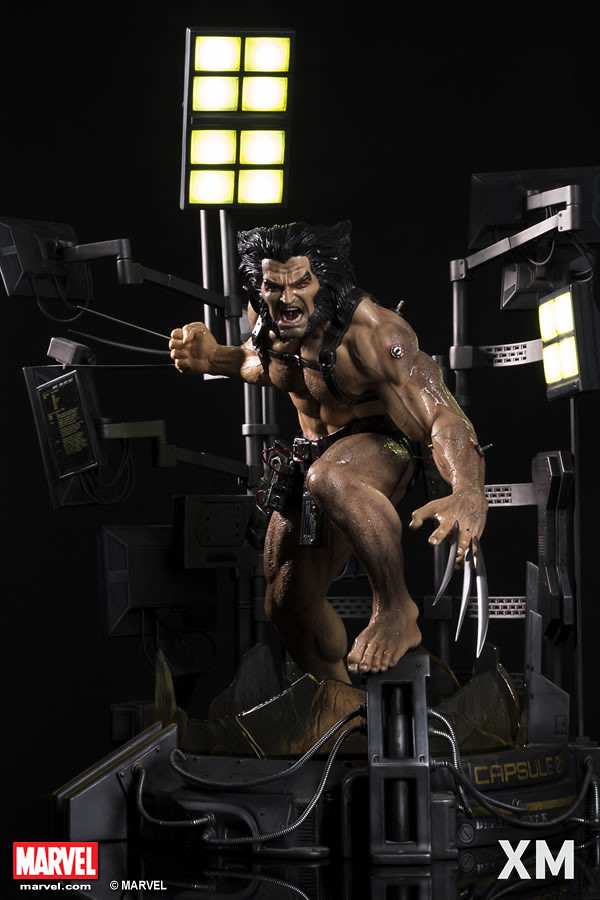 XM Studios Premium Collectibles 系列 Marvel【金剛狼 Weapon X 計畫】Wolverine - Weapon X Project 1/4 比例全身雕像作品