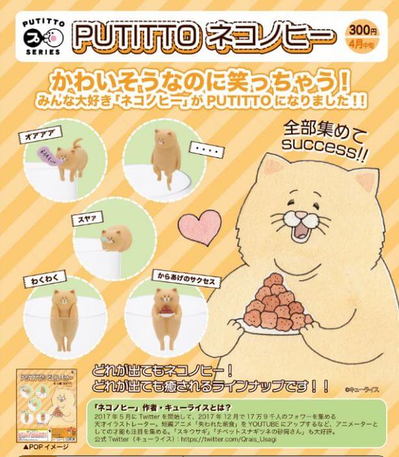 推特高人氣的「殘念貓」！PUTITTO 《殘念貓》逗趣又療癒登場！ネコノヒー