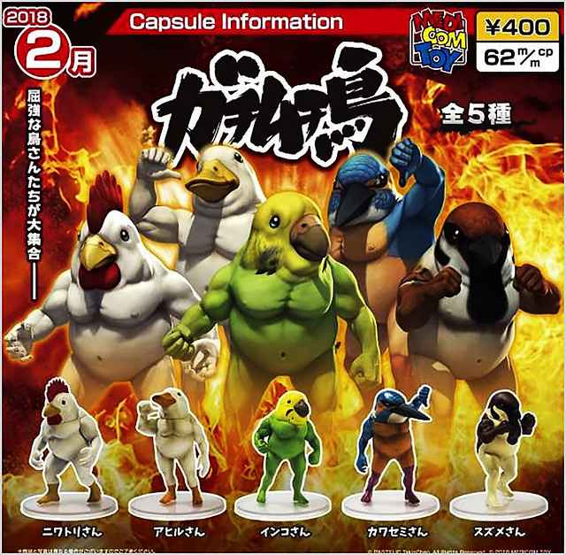 【正式官圖公開】引發轟動的超狂猛鳥立體化！ Medicom Toy 「戰鬥筋肉鳥（ガチムチ鳥）」轉蛋