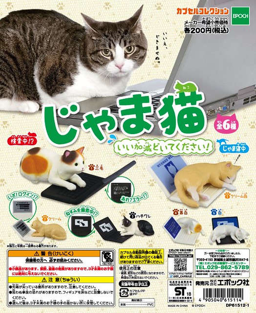Epoch 十分逗趣的「打擾貓」又來了！新配色搗亂登場！じゃま猫　いい加減どいてください！