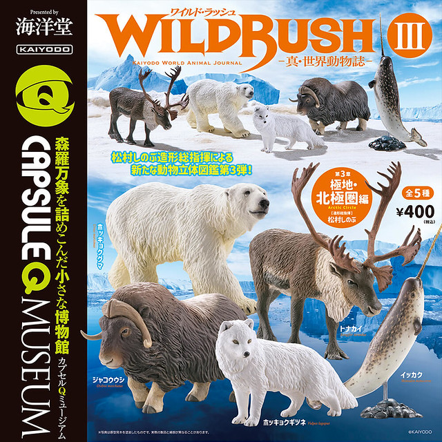 【官圖＆販售資訊更新】膠囊Q角色集《WILD RUSH 真．世界動物誌》第三彈「極地・北極圏編」！カプセルQミュージアム WILDRUSH 真・世界動物誌第3弾「極地・北極圏」編