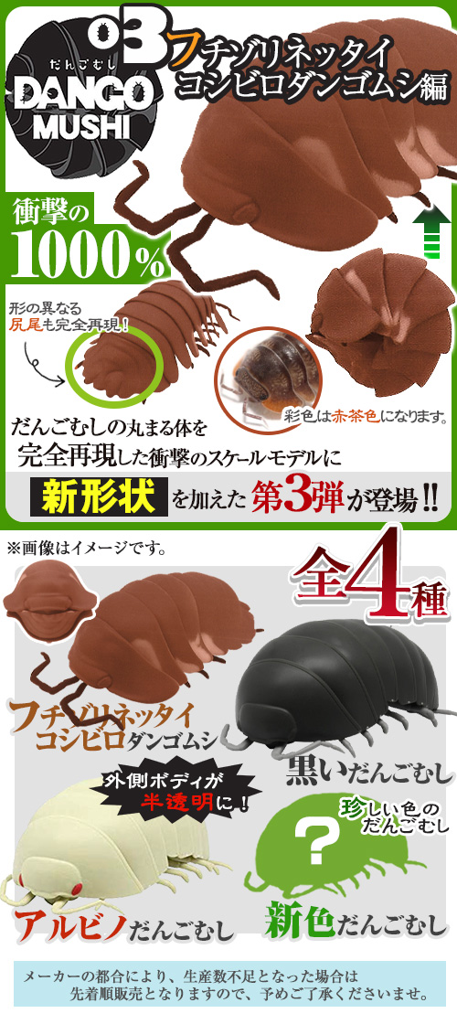 新造型的球鼠婦登場！萬代超擬真「鼠婦」轉蛋第3彈 古巴蟲篇（だんごむし03 フチゾリネッタイコシビロダンゴムシ編）