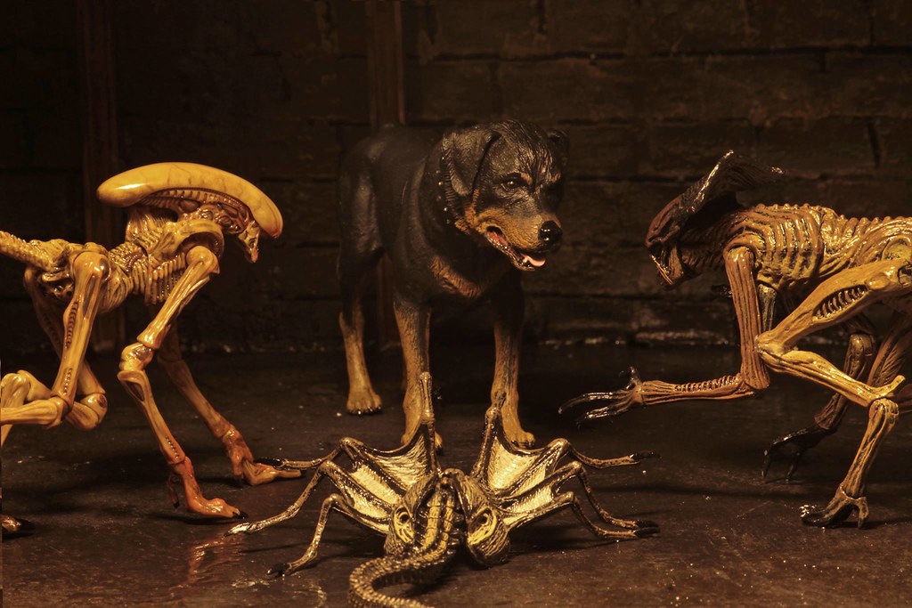 不...不要這樣欺負狗狗啦～ NECA《異形3》生物組合包 Creature Pack
