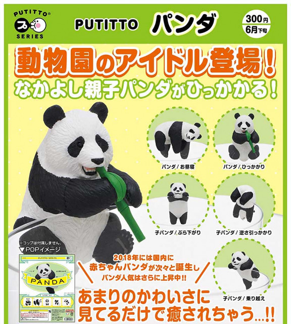 奇譚俱樂部 PUTITTO 討喜「熊貓」逗趣登場！パンダ
