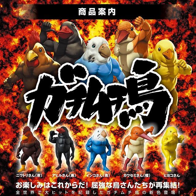 擁有大肌肌的超狂猛鳥再次集結！MEDICOM TOY 轉蛋「戰鬥筋肉鳥2（ガチムチ鳥2）」03月登場！
