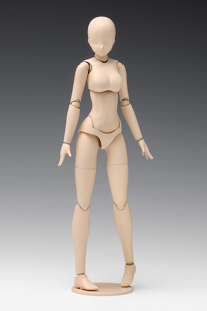 Wave 1 12比例女性素體 組裝模型作品 1 12スケールムーバブルボディ女性型 玩具人toy People News