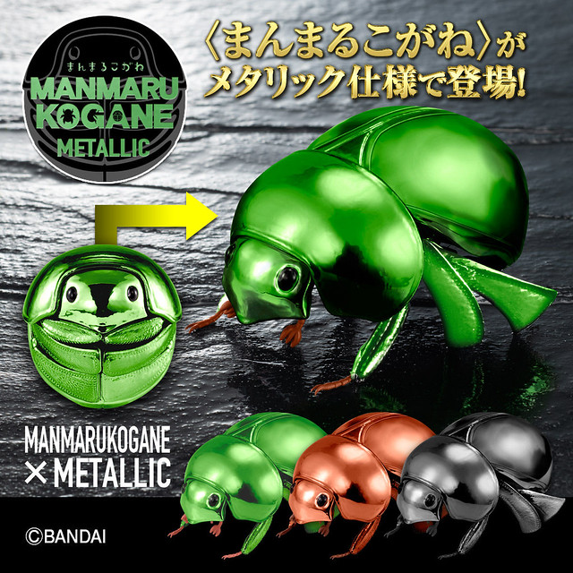 萬代 GASHAPON 團子蟲轉蛋系列新作『金屬色球金龜亞科  3個套組（メタリックまんまるこがね　3個セット）』情報公開！
