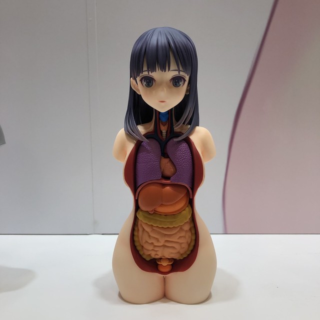 她變成了活著的人體模型！？MILESTONE x AOSHIMA 全新商品企畫『美人體模型』新情報公開！