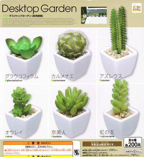 真 絕對不會失敗的多肉植物照顧方法 Korokoro Desktop Garden 多肉植物轉蛋 デスクトップガーデン 比懶人植物還更懶 玩具人toy People News