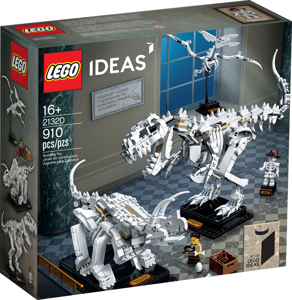 打造迷你恐龍博物館的第一步？！ LEGO 21320 Ideas 系列【恐龍化石】Dinosaur Fossils