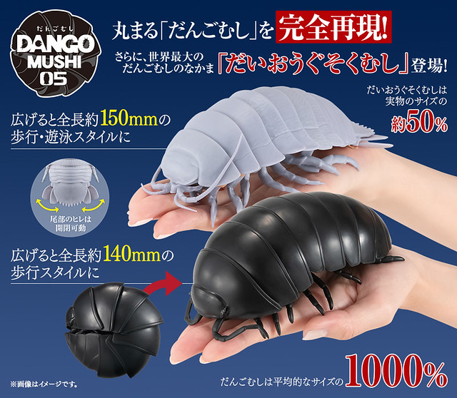 超驚悚深海活化石終於現身！萬代 GASHAPON 超擬真轉蛋『團子蟲05 大王具足蟲篇』（だんごむし05 だんごむしとだいおうぐそくむし）