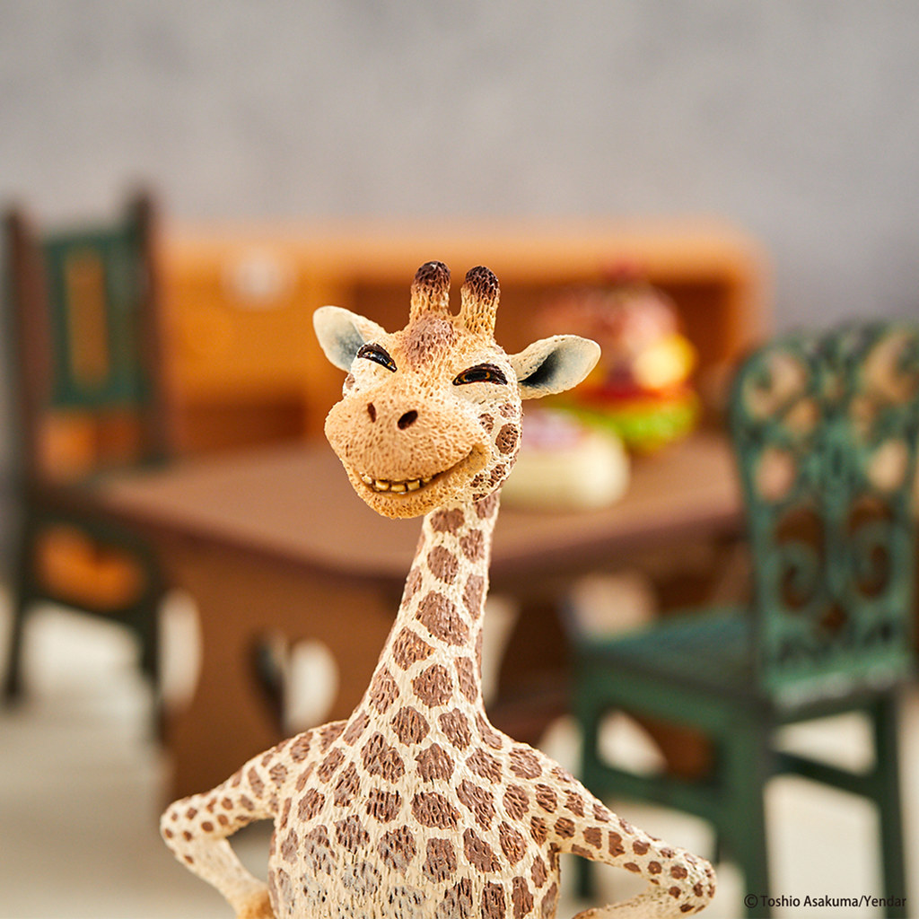 用大笑召喚正能量 朝隈俊男Animal Life 二頭身～Chubby Series『圓滾滾系列』 第二彈 ハイポ～ズ 再度來襲！！