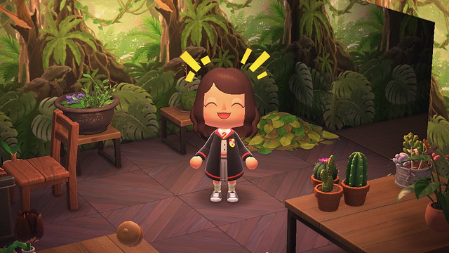 還原霍格華茲四大學院《集合啦！動物森友會》哈利波特系列角色服裝下載　和島友一起開魔法派對吧！