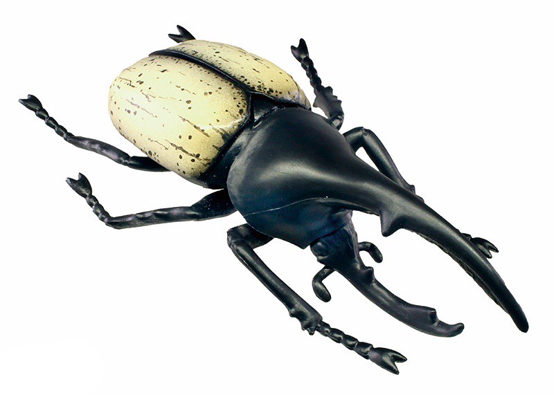 抓到狼蛛了~T-ARTS 昆蟲之森G「大襲來!巨型蜘蛛」轉蛋(昆虫の森G 大襲来!ジャイアントスパイダー)全五種