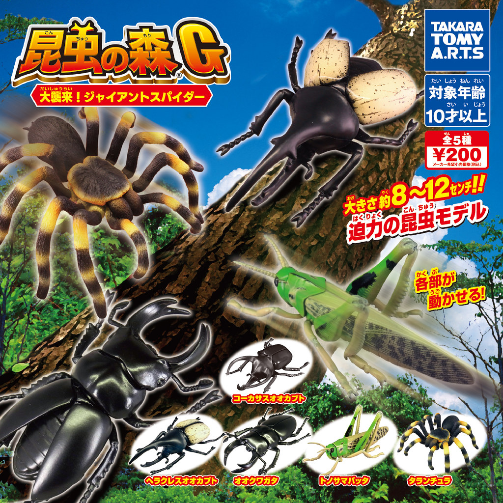 抓到狼蛛了~T-ARTS 昆蟲之森G「大襲來!巨型蜘蛛」轉蛋(昆虫の森G 大襲来!ジャイアントスパイダー)全五種