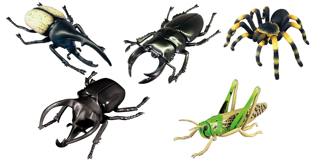 抓到狼蛛了~T-ARTS 昆蟲之森G「大襲來!巨型蜘蛛」轉蛋(昆虫の森G 大襲来!ジャイアントスパイダー)全五種