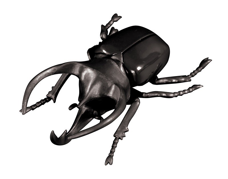 抓到狼蛛了～T-ARTS 昆蟲之森G「大襲來！巨型蜘蛛」轉蛋（昆虫の森G 大襲来！ジャイアントスパイダー）全五種