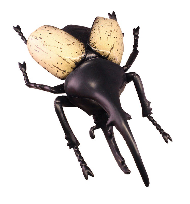 抓到狼蛛了~T-ARTS 昆蟲之森G「大襲來!巨型蜘蛛」轉蛋(昆虫の森G 大襲来!ジャイアントスパイダー)全五種