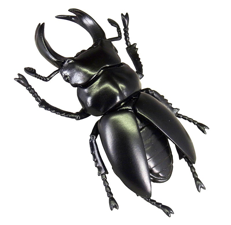 抓到狼蛛了~T-ARTS 昆蟲之森G「大襲來!巨型蜘蛛」轉蛋(昆虫の森G 大襲来!ジャイアントスパイダー)全五種