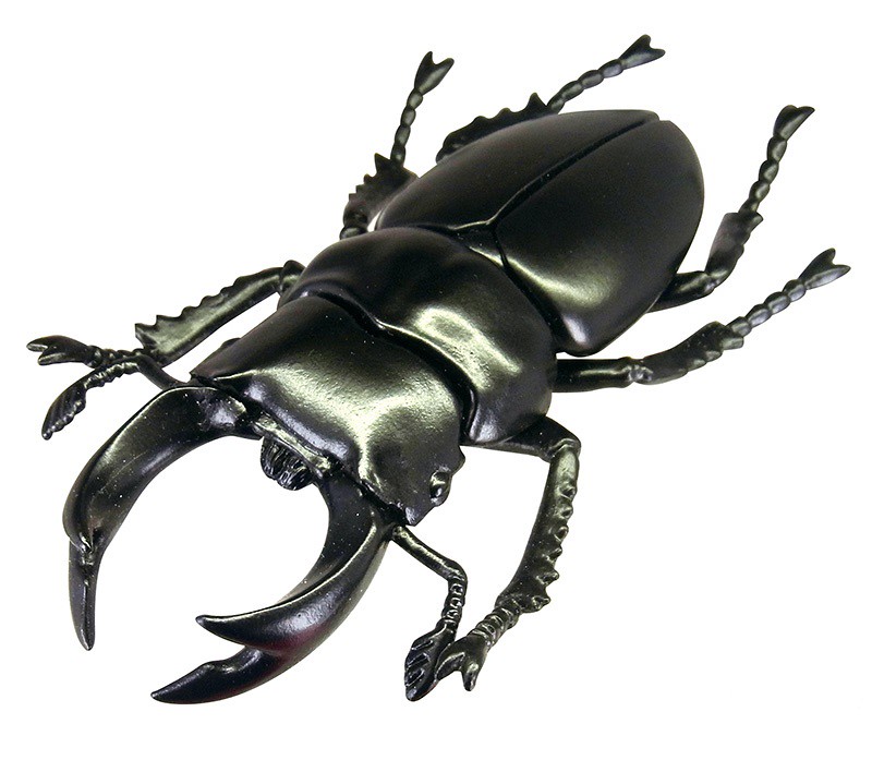 抓到狼蛛了~T-ARTS 昆蟲之森G「大襲來!巨型蜘蛛」轉蛋(昆虫の森G 大襲来!ジャイアントスパイダー)全五種