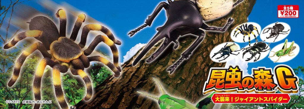 抓到狼蛛了~T-ARTS 昆蟲之森G「大襲來!巨型蜘蛛」轉蛋(昆虫の森G 大襲来!ジャイアントスパイダー)全五種