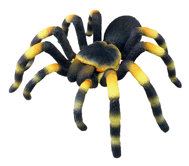 抓到狼蛛了~T-ARTS 昆蟲之森G「大襲來!巨型蜘蛛」轉蛋(昆虫の森G 大襲来!ジャイアントスパイダー)全五種