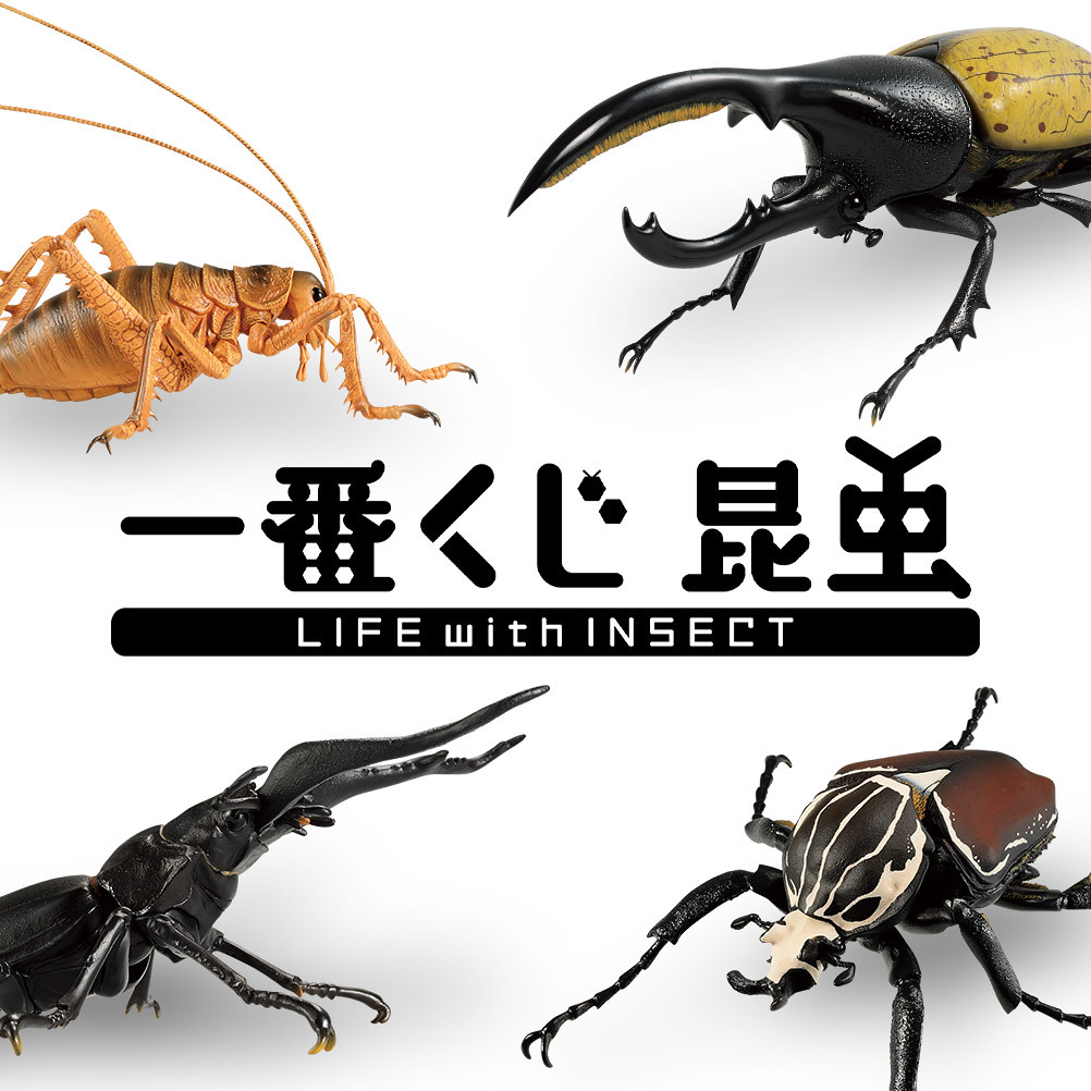 超人氣蟲蟲夏日襲來！一番賞「昆蟲LIFE with INSECT」原尺寸擬真登場