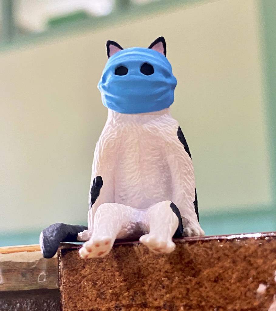 奇譚俱樂部【坐著的奇怪貓】口罩貓、吐司貓將於明年2月爆笑參戰？！