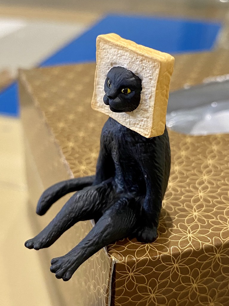 奇譚俱樂部【坐著的奇怪貓】口罩貓、吐司貓將於明年2月爆笑參戰？！