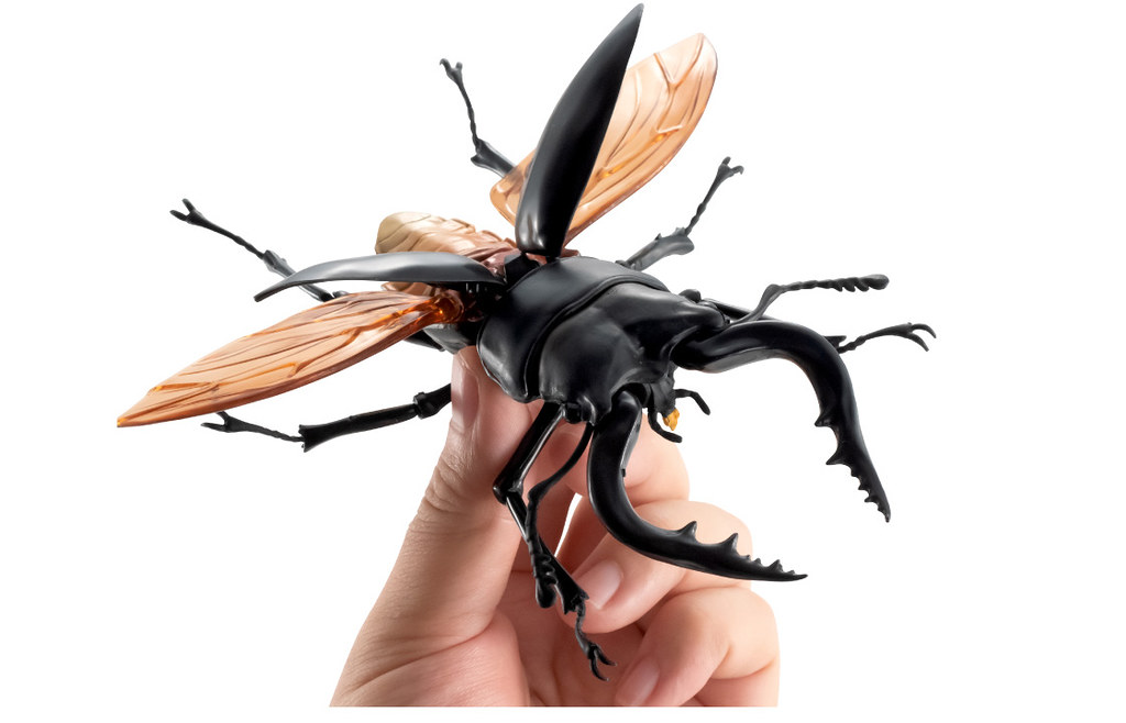 GASHAPON 昆蟲圖鑑超擬真「鍬形蟲」環保扭蛋 超人氣甲蟲14公分登場!