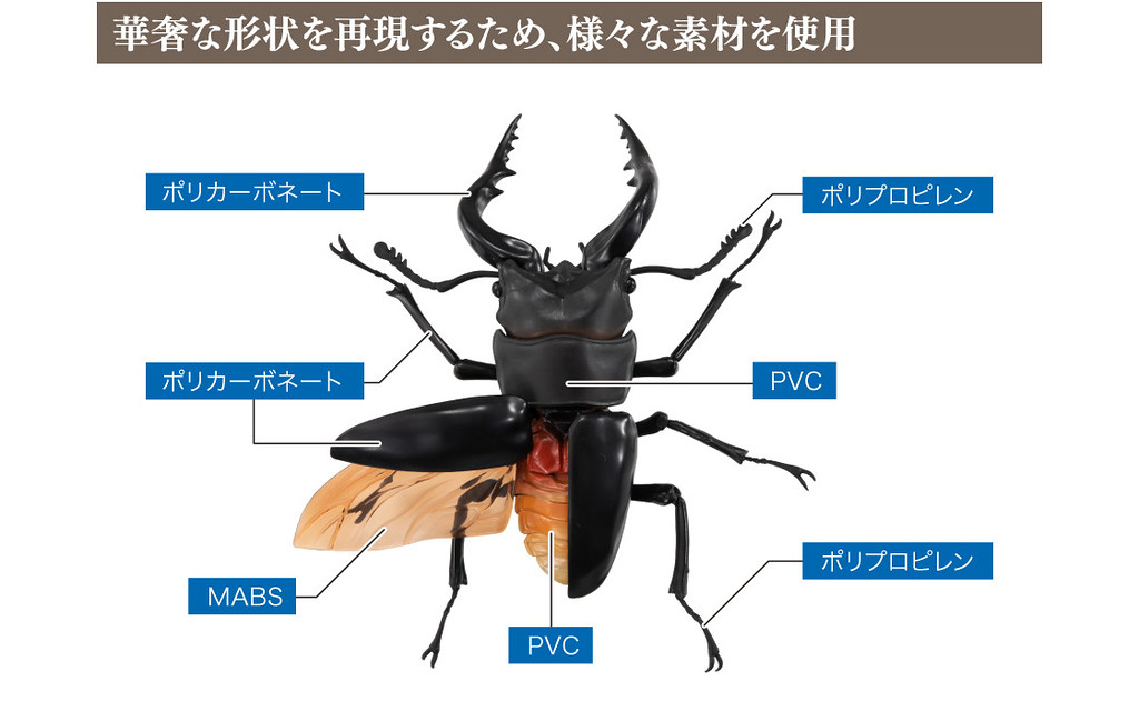 GASHAPON 昆蟲圖鑑超擬真「鍬形蟲」環保扭蛋 超人氣甲蟲14公分登場!
