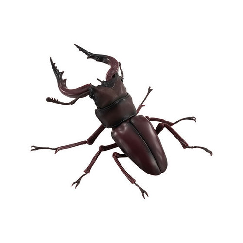 GASHAPON 昆蟲圖鑑超擬真「鍬形蟲」環保扭蛋 超人氣甲蟲14公分登場!