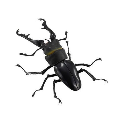 GASHAPON 昆蟲圖鑑超擬真「鍬形蟲」環保扭蛋 超人氣甲蟲14公分登場!