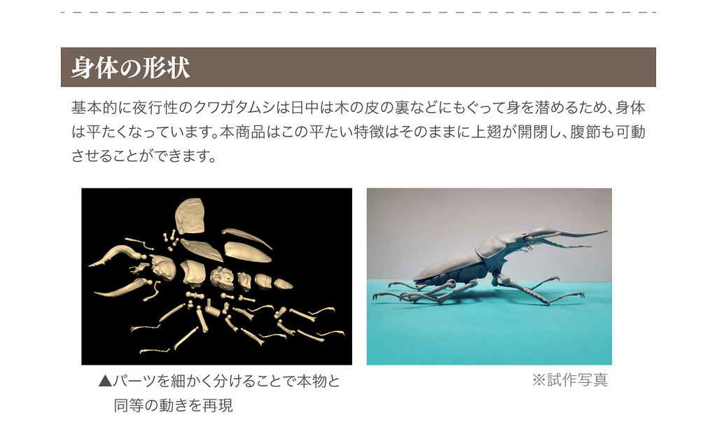 GASHAPON 昆蟲圖鑑超擬真「鍬形蟲」環保扭蛋 超人氣甲蟲14公分登場!