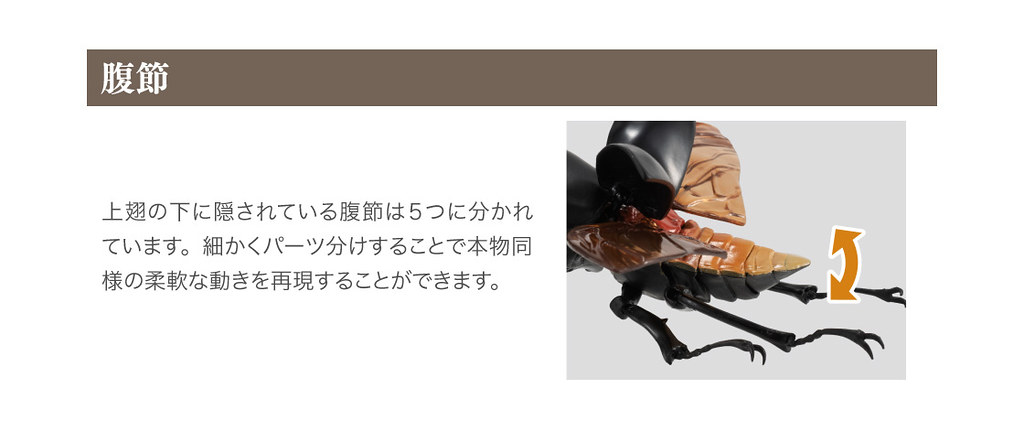 GASHAPON 昆蟲圖鑑超擬真「鍬形蟲」環保扭蛋 超人氣甲蟲14公分登場!