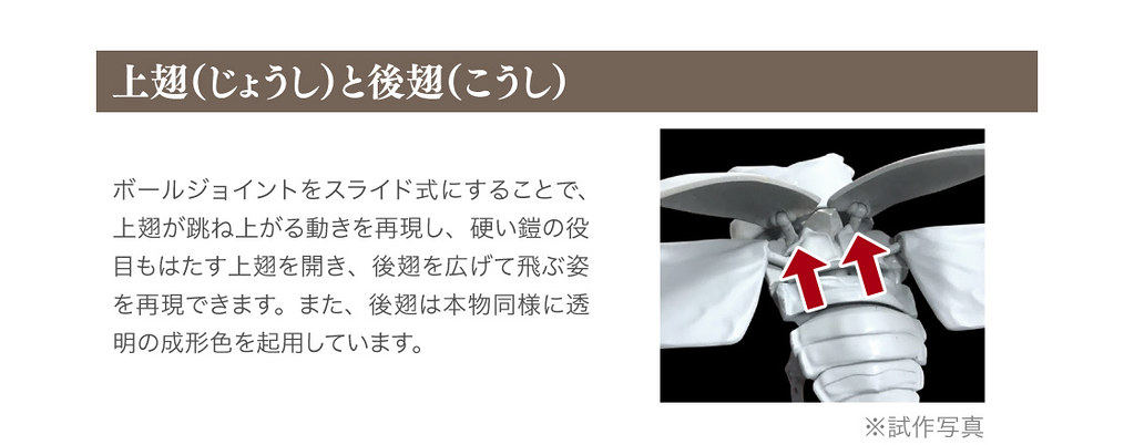 GASHAPON 昆蟲圖鑑超擬真「鍬形蟲」環保扭蛋 超人氣甲蟲14公分登場!