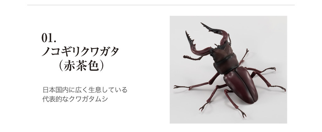 GASHAPON 昆蟲圖鑑超擬真「鍬形蟲」環保扭蛋 超人氣甲蟲14公分登場!