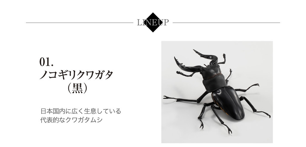 GASHAPON 昆蟲圖鑑超擬真「鍬形蟲」環保扭蛋 超人氣甲蟲14公分登場!