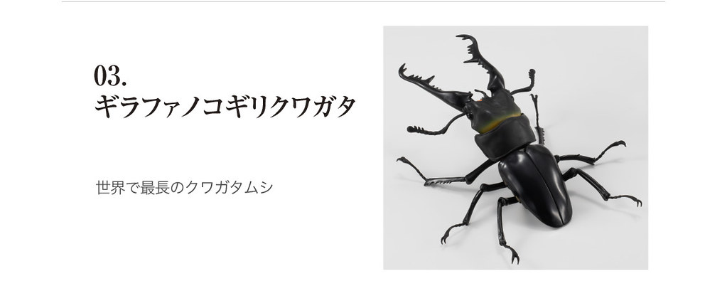 GASHAPON 昆蟲圖鑑超擬真「鍬形蟲」環保扭蛋 超人氣甲蟲14公分登場!