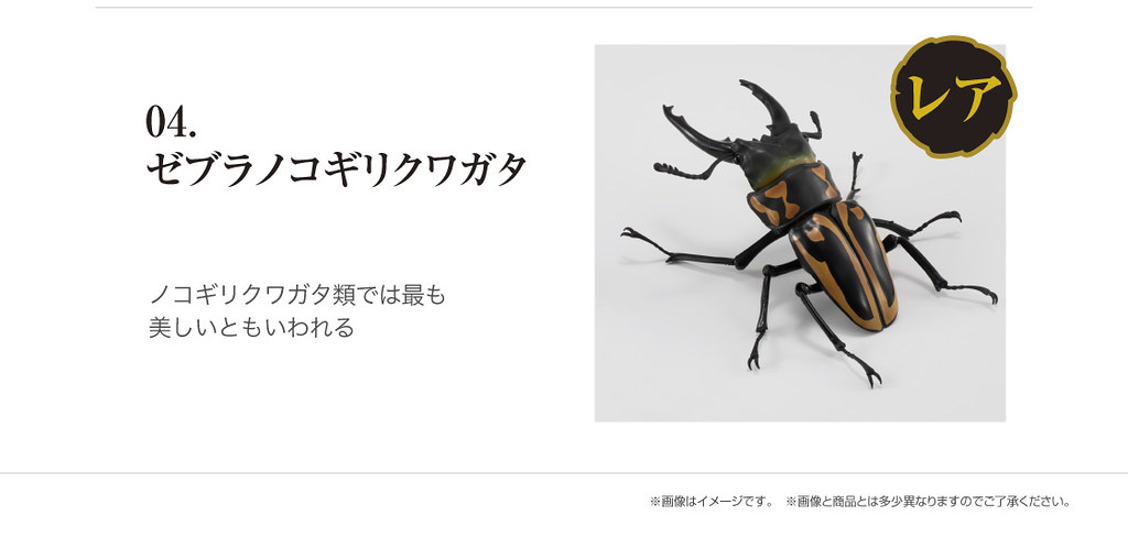 GASHAPON 昆蟲圖鑑超擬真「鍬形蟲」環保扭蛋 超人氣甲蟲14公分登場!