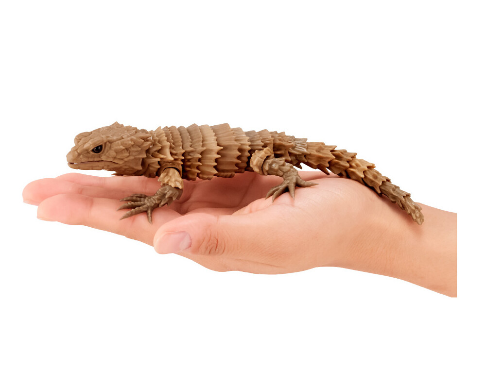 GASHAPON 超擬真環保轉蛋「團子蟲07 犰狳蜥篇」咬著尾巴捲成一圈的萌獸鎧甲龍來啦~!