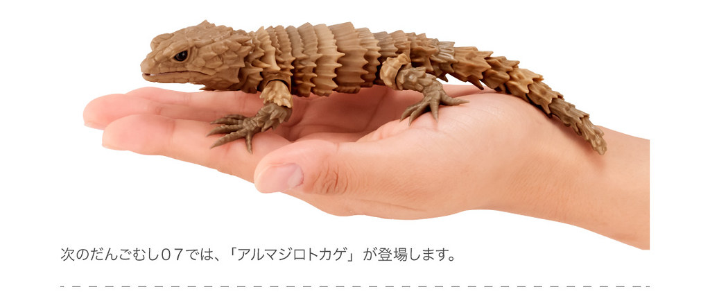 GASHAPON 超擬真環保轉蛋「團子蟲07 犰狳蜥篇」咬著尾巴捲成一圈的萌獸鎧甲龍來啦~!