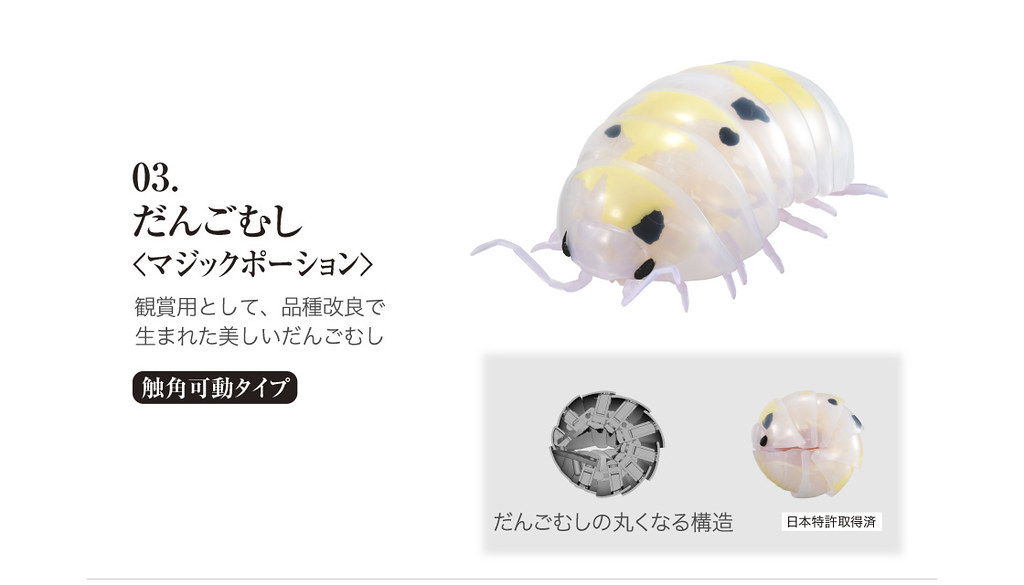 GASHAPON 超擬真環保轉蛋「團子蟲07 犰狳蜥篇」咬著尾巴捲成一圈的萌獸鎧甲龍來啦~!