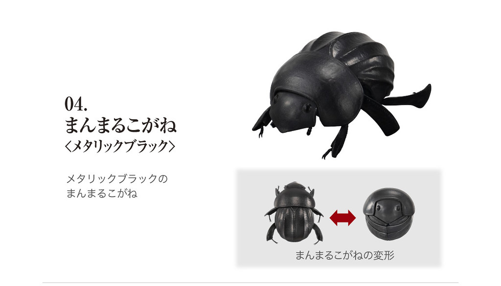 GASHAPON 超擬真環保轉蛋「團子蟲07 犰狳蜥篇」咬著尾巴捲成一圈的萌獸鎧甲龍來啦~!