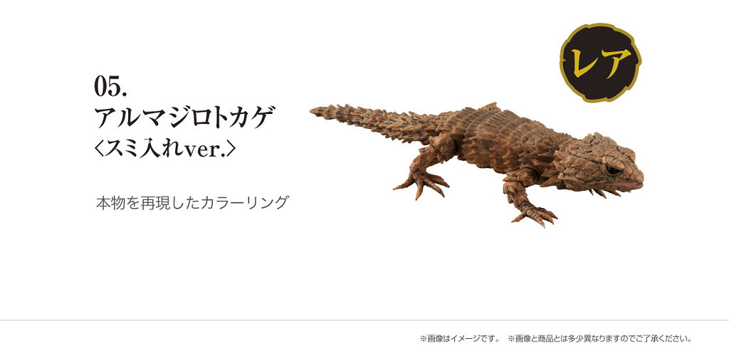 GASHAPON 超擬真環保轉蛋「團子蟲07 犰狳蜥篇」咬著尾巴捲成一圈的萌獸鎧甲龍來啦~!