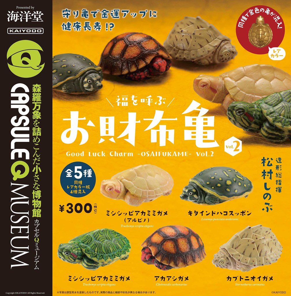 海洋堂《膠囊Q博物館》開運錢龜 第二彈！幫你招來滿滿的福氣與財運～還混入稀有全金配色喔