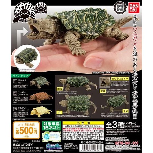再現鱷龜精人的咬合力！GASHAPON大好評第三彈「烏龜03」推出鱷龜主題轉蛋
