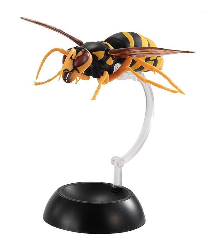 GASHAPON 擬真昆蟲圖鑑「虎頭蜂02」第二彈轉蛋最危險昆蟲再襲來